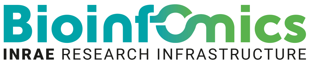Logo IFB BIOINFOMICS - Infrastructure de Recherche INRAE en bioinformatique - infrastructures-recherche.inrae.fr
