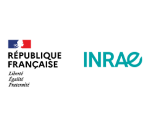 Image par défaut de la carte infrastructure