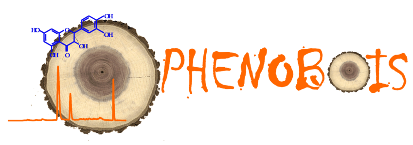 Logo PHENOBOIS - Plateforme de Phénotypage de Propriétés Hydrauliques et Physico-chimiques du Bois de Ressources Génétiques Ligneuses - infrastructures-recherche.inrae.fr
