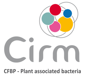 Logo CIRM - Centre International de Ressources Microbiennes - infrastructures-recherche.inrae.fr