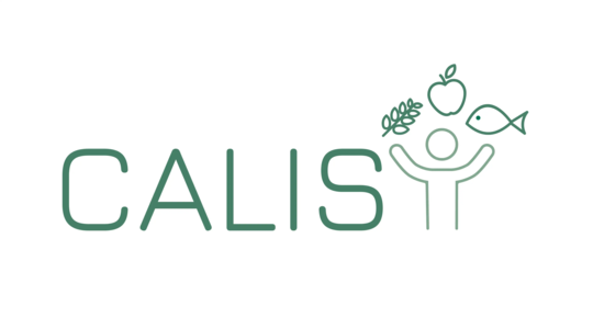 Logo CALIS - Consommateur Alimentation Santé - infrastructures-recherche.inrae.fr