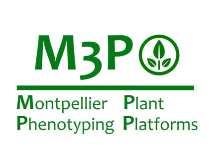 Logo M3P - Plateforme de Phénotypage des Plantes de Montpellier - infrastructures-recherche.inrae.fr