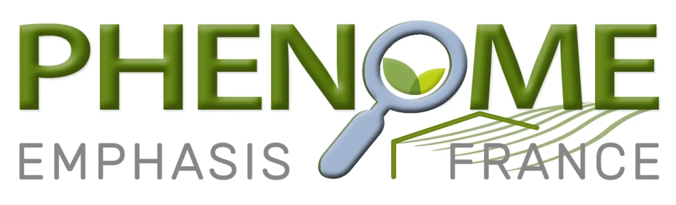Logo PHENOME-EMPHASIS PHENOME-INRAE - Infrastructure française de phénomique Végétale - infrastructures-recherche.inrae.fr