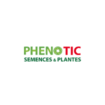 logo phenotic