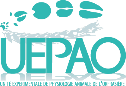 Logo PAO - Unité Expérimentale Physiologie Animale - infrastructures-recherche.inrae.fr