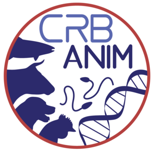 Logo CRB-ANIM - Centre de Ressources Biologiques - Pilier Animal - infrastructures-recherche.inrae.fr
