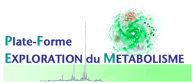 Logo PFEM - Plateforme d'Exploration du Métabolisme - - infrastructures-recherche.inrae.fr