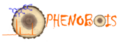 Logo PHENOBOIS - Plateforme de Phénotypage de Propriétés Hydrauliques et Physico-chimiques du Bois de Ressources Génétiques Ligneuses - infrastructures-recherche.inrae.fr