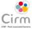 Logo CIRM - Centre International de Ressources Microbiennes - infrastructures-recherche.inrae.fr