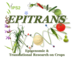 Logo EPITRANS - Plateforme Epigénomique et Recherche Translationnelle - infrastructures-recherche.inrae.fr