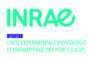 Logo UE3P - Unité Expérimentale Physiologie et Phénotypage des Porcs - infrastructures-recherche.inrae.fr